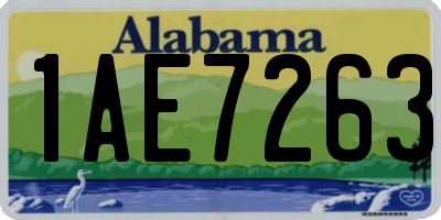 AL license plate 1AE7263