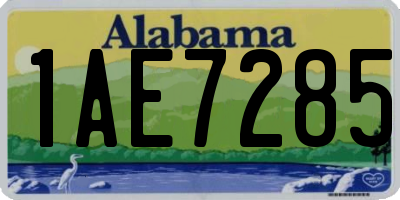AL license plate 1AE7285