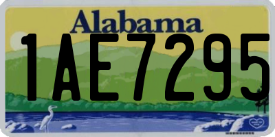 AL license plate 1AE7295