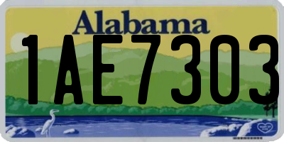 AL license plate 1AE7303