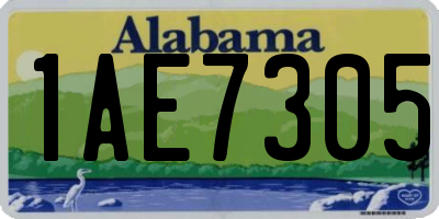AL license plate 1AE7305