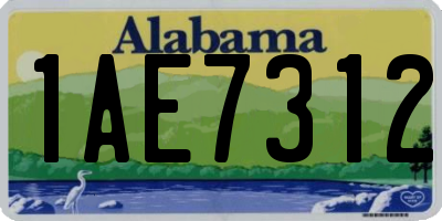 AL license plate 1AE7312