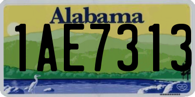 AL license plate 1AE7313