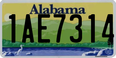AL license plate 1AE7314