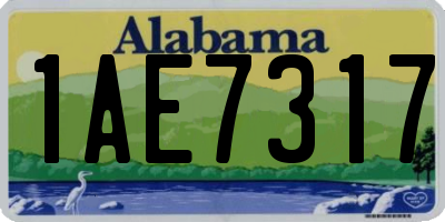 AL license plate 1AE7317