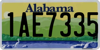 AL license plate 1AE7335