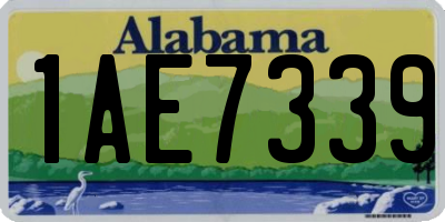 AL license plate 1AE7339