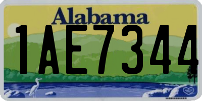 AL license plate 1AE7344