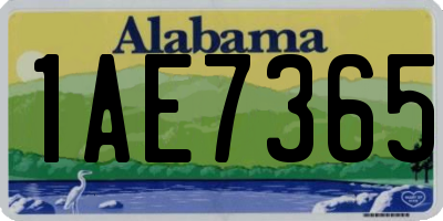 AL license plate 1AE7365