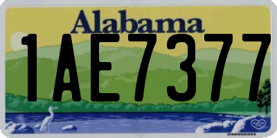 AL license plate 1AE7377