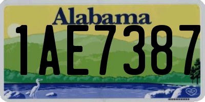 AL license plate 1AE7387