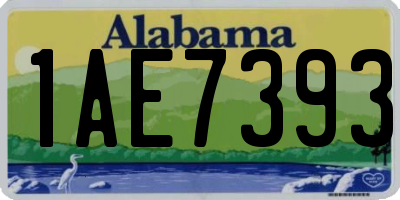 AL license plate 1AE7393