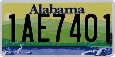 AL license plate 1AE7401