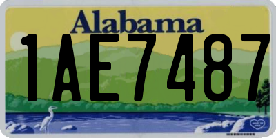 AL license plate 1AE7487