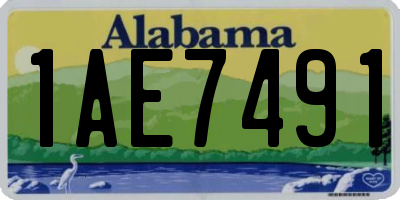 AL license plate 1AE7491