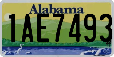 AL license plate 1AE7493