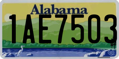 AL license plate 1AE7503