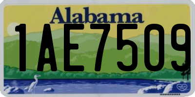 AL license plate 1AE7509