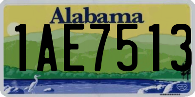 AL license plate 1AE7513