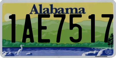 AL license plate 1AE7517
