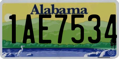 AL license plate 1AE7534