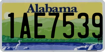 AL license plate 1AE7539