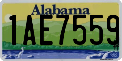 AL license plate 1AE7559
