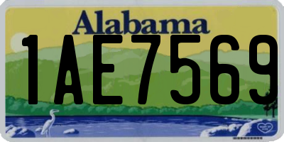 AL license plate 1AE7569