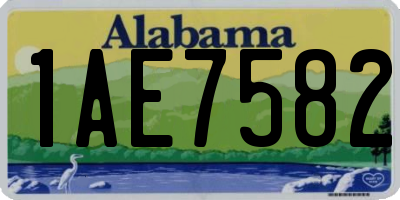 AL license plate 1AE7582