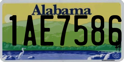 AL license plate 1AE7586