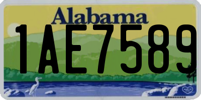 AL license plate 1AE7589