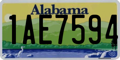 AL license plate 1AE7594