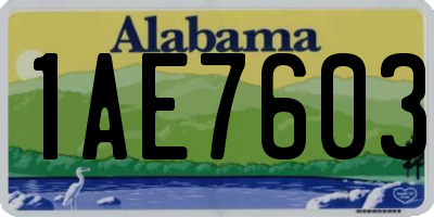AL license plate 1AE7603