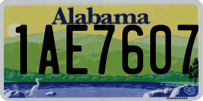 AL license plate 1AE7607