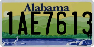 AL license plate 1AE7613