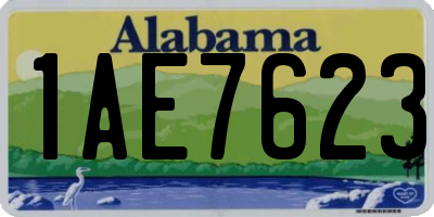 AL license plate 1AE7623