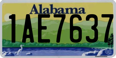 AL license plate 1AE7637