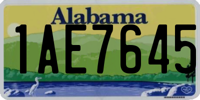 AL license plate 1AE7645