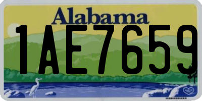 AL license plate 1AE7659