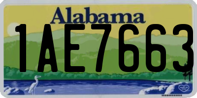 AL license plate 1AE7663