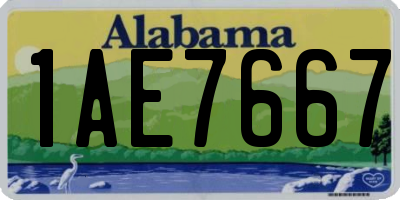 AL license plate 1AE7667