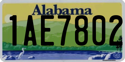 AL license plate 1AE7802