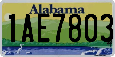 AL license plate 1AE7803
