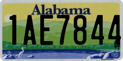 AL license plate 1AE7844