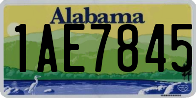 AL license plate 1AE7845