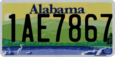 AL license plate 1AE7867