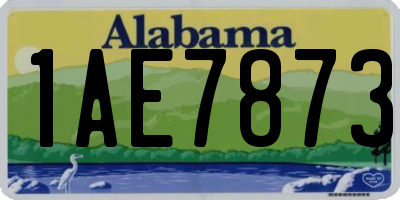 AL license plate 1AE7873
