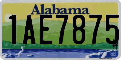 AL license plate 1AE7875
