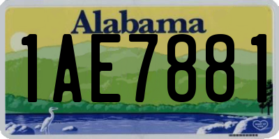AL license plate 1AE7881