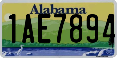 AL license plate 1AE7894